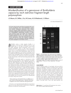 Misidentification of a genomovar of Burkholderia cepacia by recA