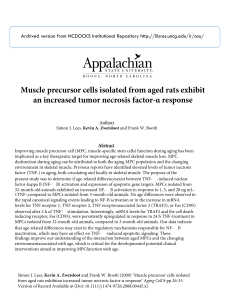 Muscle precursor cells isolated from aged rats exhibit