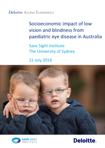 Socioeconomic impact of low vision and blindness from