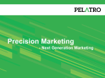 mViva Precision Marketing Solution
