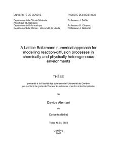 A lattice Boltzmann numerical approach for modelling