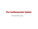 The Cardiovascular System - Waterford Public Schools