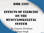 Effects of Exercise on the Musculoskeletal System