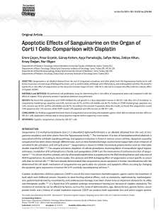 Apoptotic Effects of Sanguinarine on the Organ of Corti 1 Cells