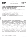 Complete mitochondrial genome of the