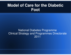 Model of Care for the Diabetic Foot