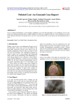 Palatal Cyst: An Unusual Case Report