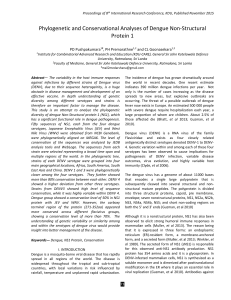 Phylogenetic and Conservational Analyses of Dengue Non