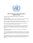 United Nations Declaration on the Rights of Indigenous Peoples