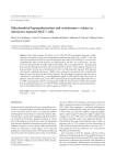 Mitochondrial hyperpolarization and cytochrome