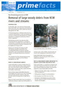 Removal of large woody debris from NSW rivers and streams