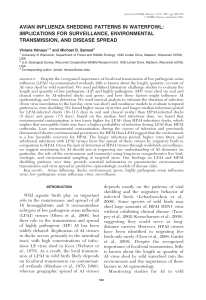 avian influenza shedding patterns in waterfowl