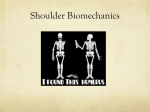 Shoulder Instability - 34-601ClinicalAnatomy-FA14