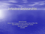 Infective Endocarditis