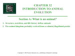 Organismal Biology/32A