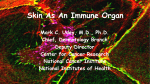 Skin As An Immune Organ