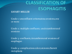 clasification of esophagitis