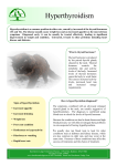 Hyperthyroidism - Hawthorne Lodge Vets