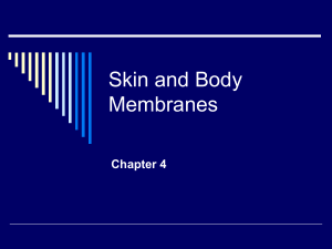 Skin and Body Membranes