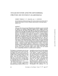 nuclear mutations affecting mitochondrial structure