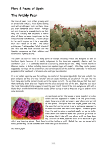 The Prickly Pear