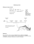 Weathering and soils Hillslopes and slope processes: