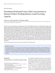 Dorsolateral Prefrontal Cortex GABA Concentration in Humans