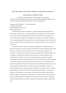 Pore-scale study of the fracture influence on fluid