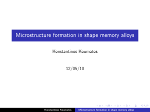 Microstructure formation in shape memory alloys