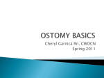 OSTOMY BASICS