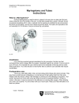 Print Discharge Instructions (Word doc)