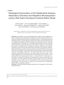 Histological Examination of the Relationship between Respiratory