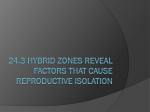 24.3 Hybrid Zones reveal factors that cause reproductive isolation