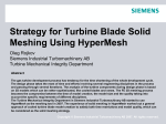 Strategy for Turbine Blade Solid Meshing Using HyperMesh