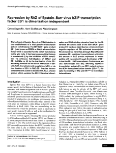 Repression by RAZ of Epstein-Barr virus bZIP transcription factor