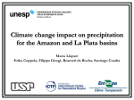 Climate change impact on precipitation for the Amazon and La Plata