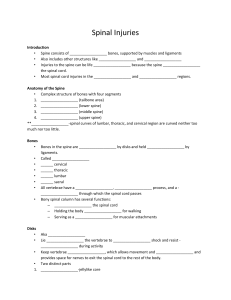 Spinal Injury Note sheet