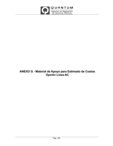 ANEXO G - Material de Apoyo para Estimado de Costos Opción