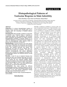 Histopathological Patterns of Testicular Biopsies in Male Infertility