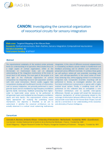 CANON: Investigating the canonical organization of - FLAG-ERA