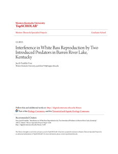 Interference in White Bass Reproduction by Two