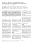 Geophysical insights into the Transition fault debate: Propagating