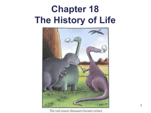 History of Life