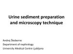 Urine sediment preparation and microscopy technique