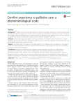 Comfort experience in palliative care: a