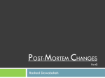 Post-Mortem Changes Part2