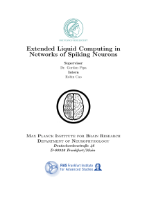 Extended Liquid Computing in Networks of Spiking Neurons