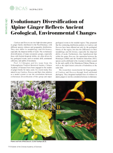 114 Evolutionary Diversification of Alpine Ginger Reflects Ancient