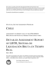 detailed assessment report of lbtr, sistema de liquidación bruta en