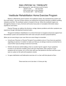 Vestibular Rehabilitation